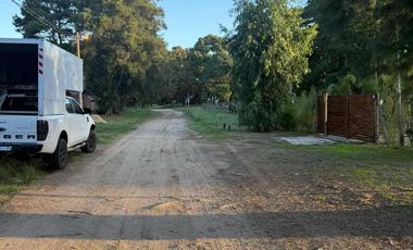 Casas en venta - 5 Dormitorios 2 Baños - 600Mts2 - Nueva Atlantis