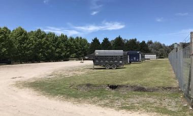 Venta/Alquiler Nave con Caballerizas