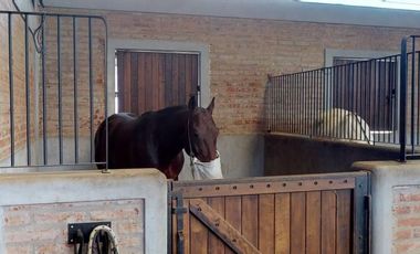 Venta/Alquiler Nave con Caballerizas