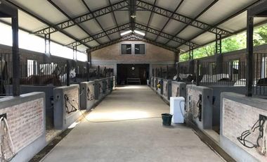 Venta/Alquiler Nave con Caballerizas