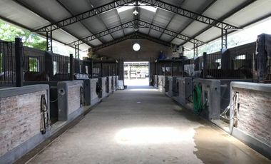 Venta/Alquiler Nave con Caballerizas