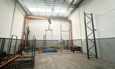 VENTA GALPÓN INDUSTRIAL GRÚA PIÑEYRO AVELLANEDA