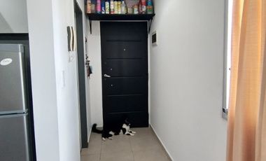 Departamento en venta en Wilde