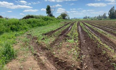 Casa en venta  en TENO