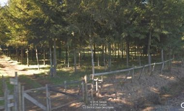 Parcela en Venta en COD39342 - Loteo Fundo Santa Elisa, Camino Segunda Faja, Sector Diucaco, Villarrica