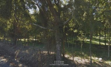 Parcela en Venta en COD39342 - Loteo Fundo Santa Elisa, Camino Segunda Faja, Sector Diucaco, Villarrica