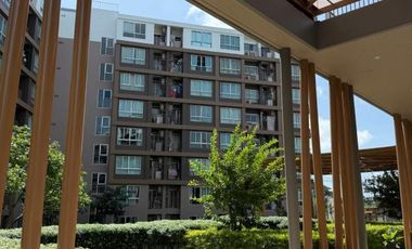 1 Bedroom apartment at DCondo Creek