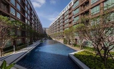 1 Bedroom apartment at DCondo Creek