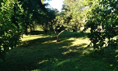 Casa en Parcela de Media Hectárea, sector Ballica Norte