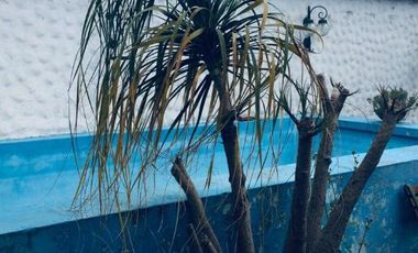 Casa en alquiler en Lanus Este