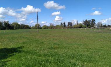 Parcela de Media Hectárea, Cerrillos comuna de Longavi