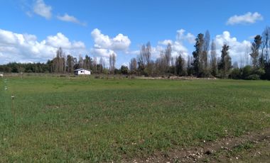 Parcela de Media Hectárea, Cerrillos comuna de Longavi