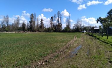 Parcela de Media Hectárea, Cerrillos comuna de Longavi