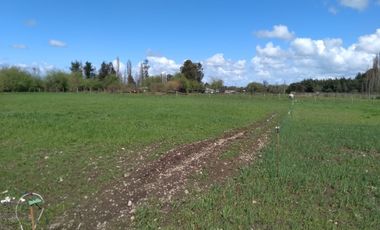Parcela de Media Hectárea, Cerrillos comuna de Longavi