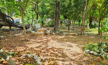 Casa Grande · SM43 · Av. Kabah · 300M2 · 4 Recámaras · Patio · Céntrica