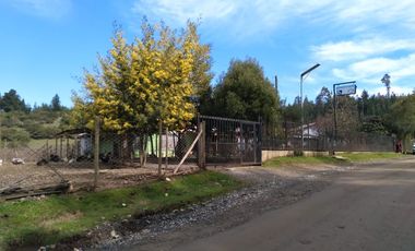 Parcela de Siete Hectáreas, Sector El Tránsito Los Copihues