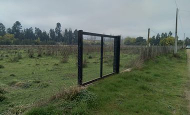 Parcela de Media Hectárea, en camino a San Juan