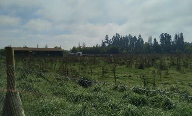 Parcela de Media Hectárea, en camino a San Juan