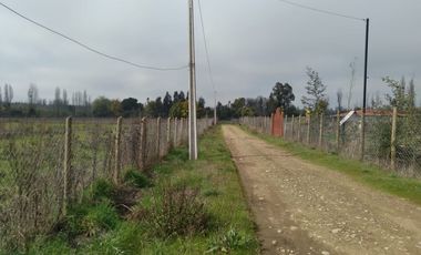 Parcela de Media Hectárea, en camino a San Juan