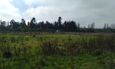 Parcela de Media Hectárea, en camino a San Juan