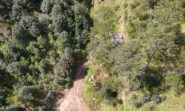 20 has boscosas en Acaxochitlan con Cantera, Rancho Agualinda