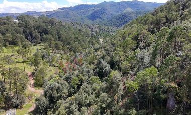 20 has boscosas en Acaxochitlan con Cantera, Rancho Agualinda