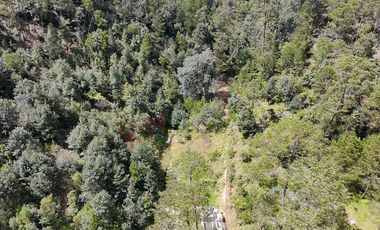 20 has boscosas en Acaxochitlan con Cantera, Rancho Agualinda