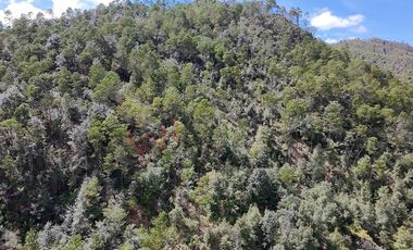 20 has boscosas en Acaxochitlan con Cantera, Rancho Agualinda