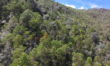 20 has boscosas en Acaxochitlan con Cantera, Rancho Agualinda