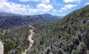 20 has boscosas en Acaxochitlan con Cantera, Rancho Agualinda