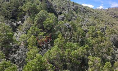 20 has boscosas en Acaxochitlan con Cantera, Rancho Agualinda
