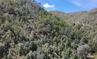 20 has boscosas en Acaxochitlan con Cantera, Rancho Agualinda