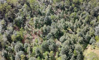 20 has boscosas en Acaxochitlan con Cantera, Rancho Agualinda