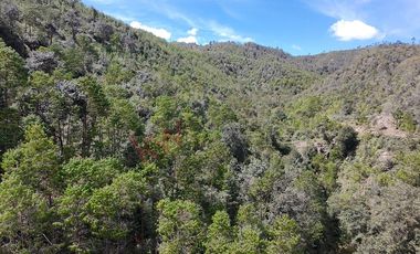 20 has boscosas en Acaxochitlan con Cantera, Rancho Agualinda
