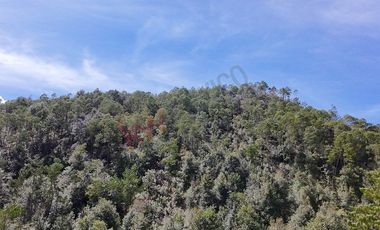 20 has boscosas en Acaxochitlan con Cantera, Rancho Agualinda