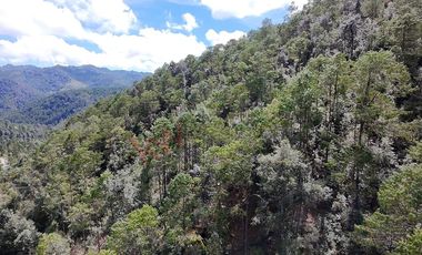 20 has boscosas en Acaxochitlan con Cantera, Rancho Agualinda