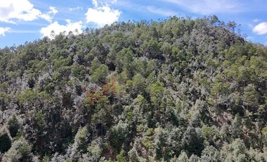 20 has boscosas en Acaxochitlan con Cantera, Rancho Agualinda