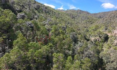 20 has boscosas en Acaxochitlan con Cantera, Rancho Agualinda