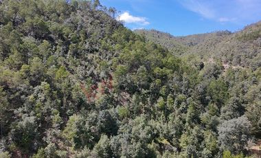 20 has boscosas en Acaxochitlan con Cantera, Rancho Agualinda