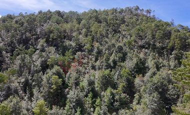 20 has boscosas en Acaxochitlan con Cantera, Rancho Agualinda