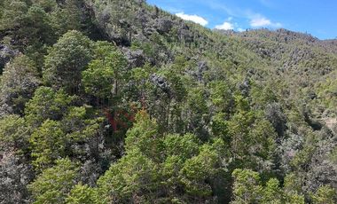 20 has boscosas en Acaxochitlan con Cantera, Rancho Agualinda