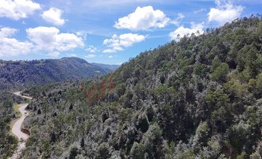 20 has boscosas en Acaxochitlan con Cantera, Rancho Agualinda