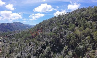 20 has boscosas en Acaxochitlan con Cantera, Rancho Agualinda