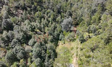 20 has boscosas en Acaxochitlan con Cantera, Rancho Agualinda