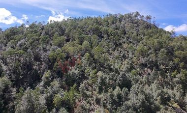 20 has boscosas en Acaxochitlan con Cantera, Rancho Agualinda