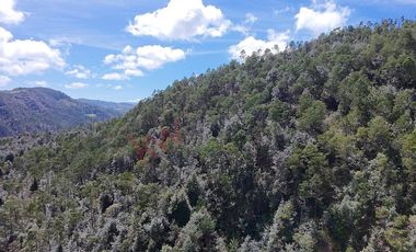 20 has boscosas en Acaxochitlan con Cantera, Rancho Agualinda