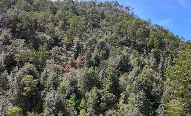 20 has boscosas en Acaxochitlan con Cantera, Rancho Agualinda