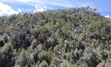 20 has boscosas en Acaxochitlan con Cantera, Rancho Agualinda