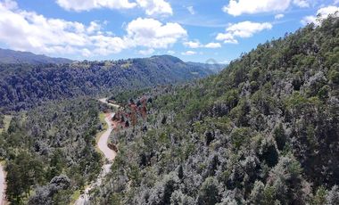 20 has boscosas en Acaxochitlan con Cantera, Rancho Agualinda
