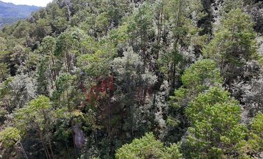 20 has boscosas en Acaxochitlan con Cantera, Rancho Agualinda
